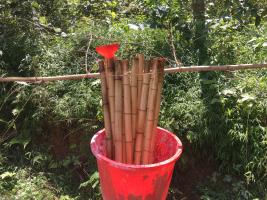 Bamboo treatment
